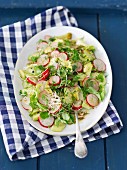 A salad with cucumber, radishes, dill and bean sprouts