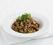 Mushroom risotto with rocket