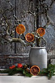 Caramelised slices of blood orange hanging from pear tree branches in stoneware pot