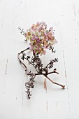 Dried hydrangea flower and dried grapevine on white wooden surface