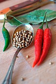Coriander seeds and fresh chillis