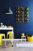 Kitchen herbs planted in storage jars fixed to three wooden boards hung on blue wood-panelled wall in dining area - upcyling