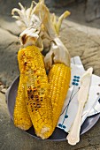 Nibbled, grilled corn cobs