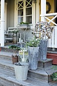 Planters and galvanised buckets on wooden steps leading to veranda