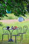 Curved metal table and chairs below lanterns hung in chestnut tree