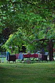 Set table below chestnut tree in garden