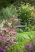 Secluded garden seating area; wooden bench amongst flowering bushes