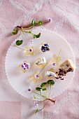 Sweet wine jelly flowers with candied violets and Gorgonzola