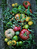 Verschiedene Tomatensorten auf Holzuntergrund (Draufsicht)