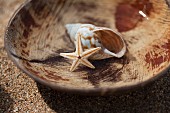 Seashell and dried starfish in wooden bowl on sandy beach