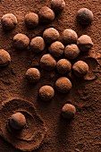 Dunkle Schokoladentrüffeln, in Kakaopulver gerollt