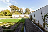 Climbing plants on white wall, geometric lawns, low hedge maze and gravel areas in summer garden; tall deciduous trees in background