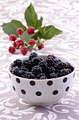 Blackberries in a polka-dot bowl
