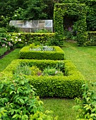 Square beds edged by low hedges in summer garden