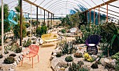 Various colourful outdoor furniture in greenhouse with large cacti
