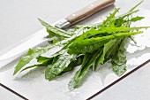 Young dandelion leaves on a chopping board