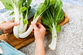 Chard being prepared