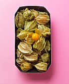 Physalis with husks in a paper dish