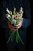 Hands holding a bundle of spring onions