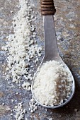 A spoonful of Guerande salt from France