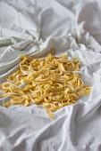 Homemade tagliatelle on a white tablecloth