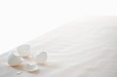 White egg shells on a white tablecloth