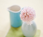 Pink flower in vase (close-up)