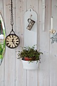 Foliage plant in white, wall-mounted plant holder on white wooden wall