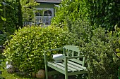 Green-painted wooden bench amongst bushes in summery garden