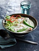 Green curry soup with chicken (Thailand)