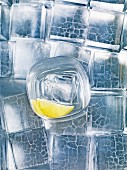 A glass of vodka with lemons on ice cubes