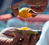 Hände halten frisch frittierte Panipuri (Indien)