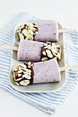 Blueberry and yoghurt ice cream with a chocolate and almond glaze