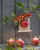 Apfelhalter aus Holz als herbstliche Vogelfutterstation davor Äpfel als Teelichthalter
