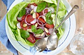 Salad with lettuce, tomatoes, onions, radishes, almonds and basil