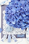 Blue hydrangea (close-up)