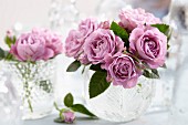 Lilafarbene Rosen in Glasvasen