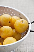 Yellow plums in a colander