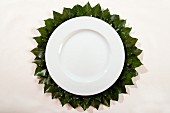 White plate with hand-crafted place mat made from felt and ivy leaves