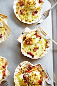 Scallops in their shells with cheese, Mornay sauce and bacon