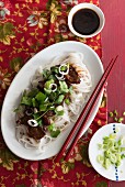 Teriyaki duck with rice noodles, spring onions and coriander