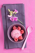 Raspberry ice cream with poppy seeds and a flower on a napkin