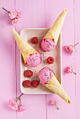 Raspberry ice cream with poppy seeds in homemade ice cream cones