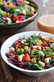 Raw vegetable salad with red cabbage, green kale, fava beans, cashew nuts and coriander (Asia)