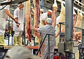 Butchers working in a slaughterhouse, Germany