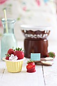 Fresh strawberries and chocolate sauce (ingredients for chocolate fondue)