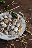 Quail's eggs on a plate with straw