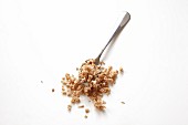 Chopped soya on a spoon (seen from above)