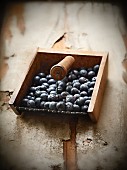 Freshly harvested blueberries