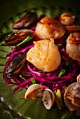 Scallops on a red cabbage salad